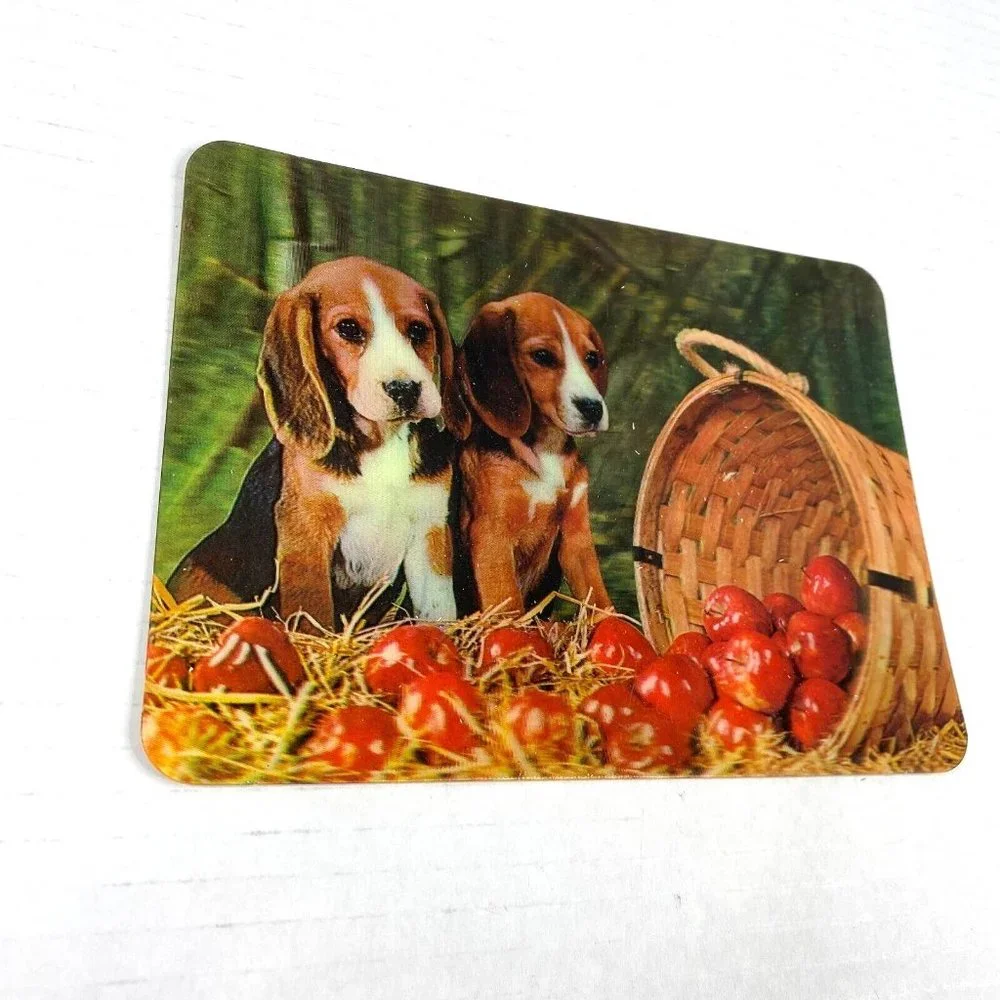 Beagle Puppies Apples Cute Dogs‎ 3-D 3D Postcard Unposted Vari-Vue 1960s Vintage